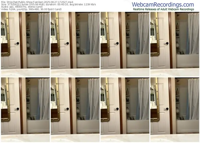 stripchat-anikari-08-27-2025-17-25-27