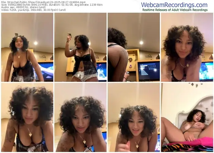stripchat-lmaobye123-08-27-2025-02-48-34