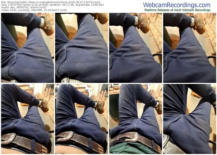 stripchat-malvadinhocarinhoso-08-27-2025-19-07-25