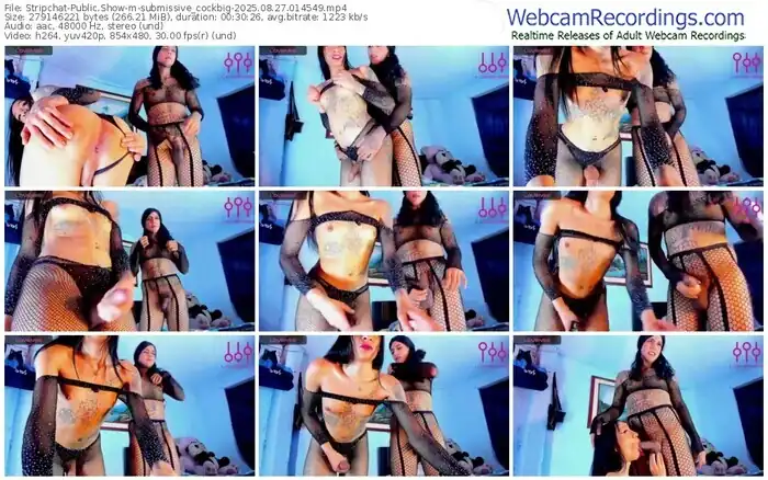 stripchat-submissive_cockbig-08-27-2025-01-45-49