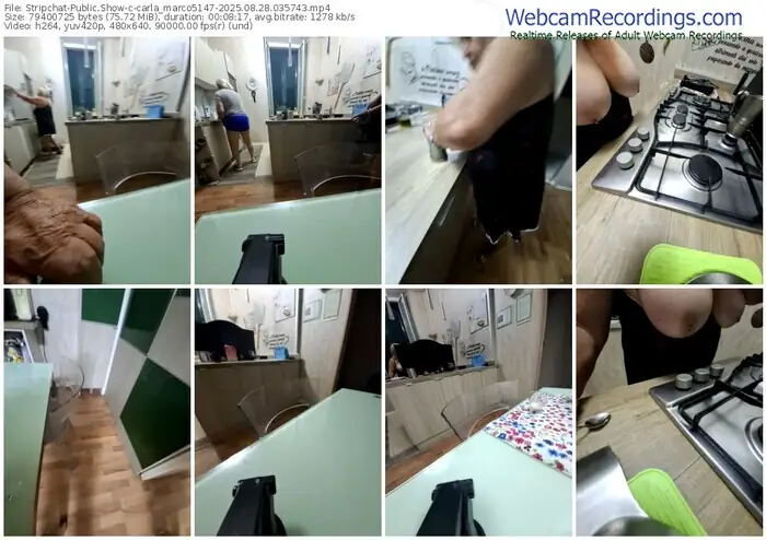 stripchat-carla_marco5147-08-28-2025-03-57-43