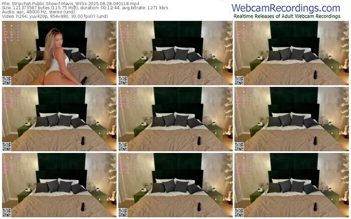 stripchat-mavis_willis-08-28-2025-04-01-18