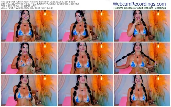 stripchat-natasha_hartaman-08-28-2025-01-25-42