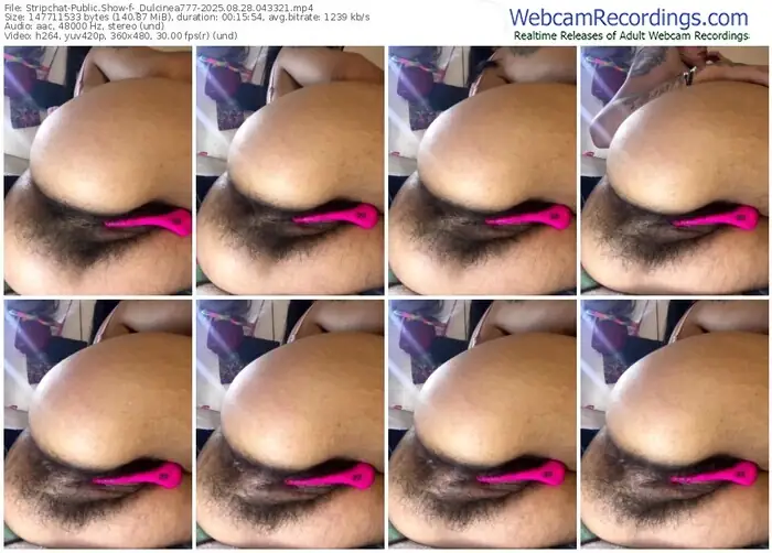 stripchat-_dulcinea777-08-28-2025-04-33-21