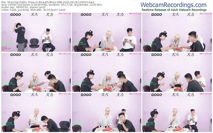stripchat-beautifulboys-888-08-28-2025-10-05-04