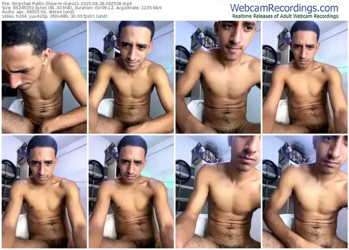 stripchat-ikaro21-08-28-2025-06-25-08