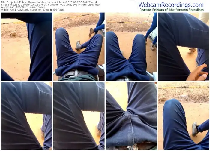 stripchat-malvadinhocarinhoso-08-28-2025-12-44-27