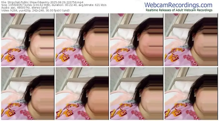 stripchat-beerrry-08-29-2025-22-07-56