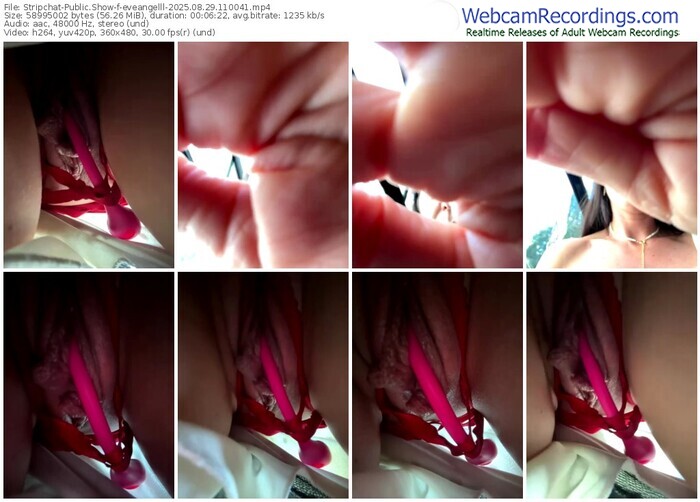 stripchat-eveangelll-08-29-2025-11-00-41