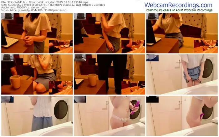 stripchat-kakushi_dori-09-01-2025-13-36-40