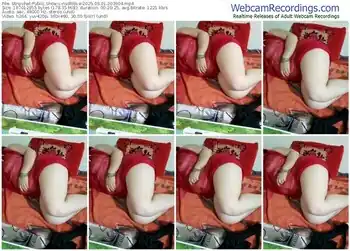 stripchat-nsdhlove-09-01-2025-20-39-04