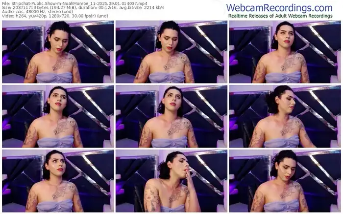 stripchat-noahmonroe_11-09-01-2025-01-40-37