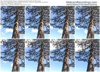 stripchat-zakkyboy66-09-01-2025-12-00-12