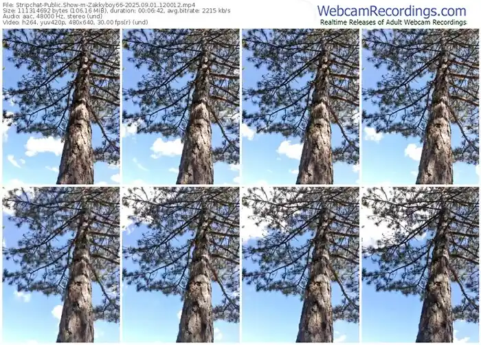 stripchat-zakkyboy66-09-01-2025-12-00-12
