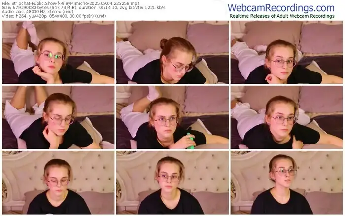 stripchat-rileymimicho-09-04-2025-22-32-58