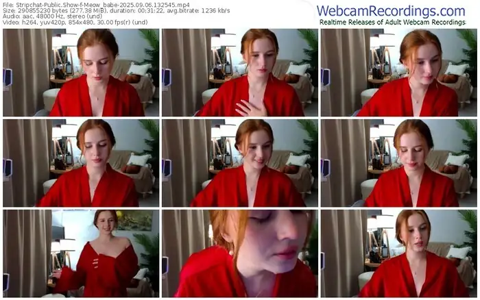 stripchat-meow_babe-09-06-2025-13-25-45