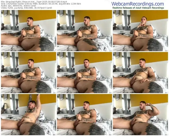 stripchat-hot__tiger-09-08-2025-07-29-14