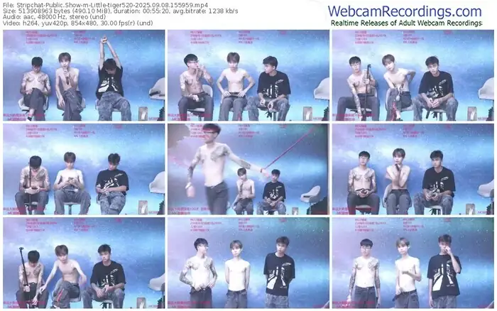 stripchat-little-tiger520-09-08-2025-15-59-59