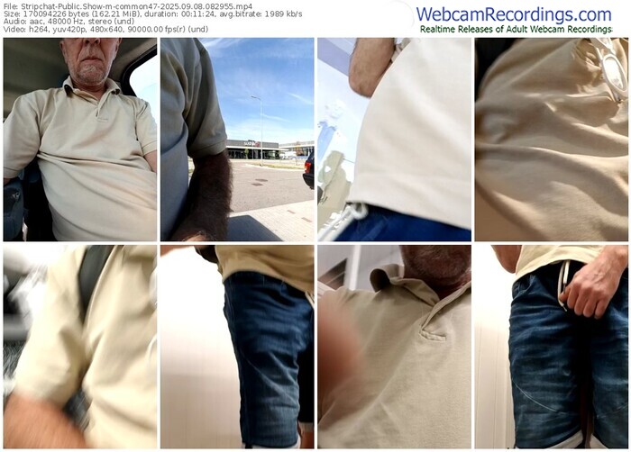 stripchat-common47-09-08-2025-08-29-55