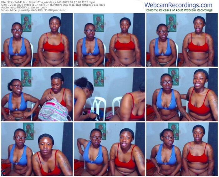 stripchat-the_wickles_4443-09-10-2025-02-42-05
