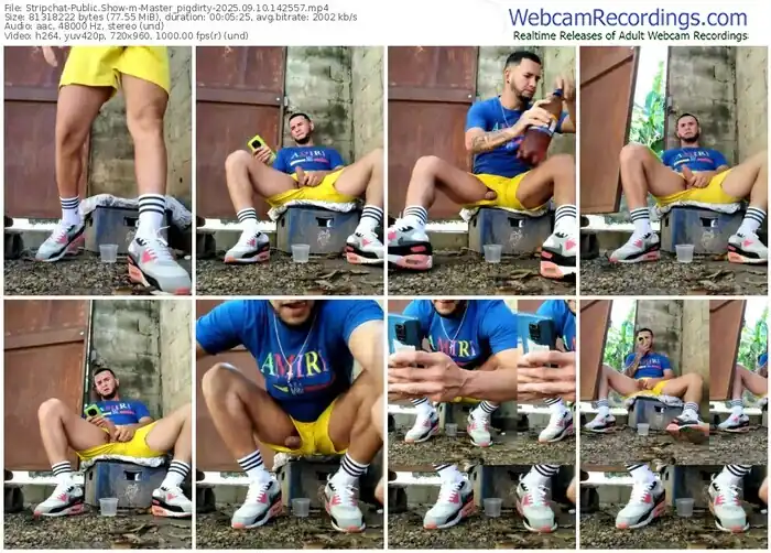 stripchat-master_pigdirty-09-10-2025-14-25-57