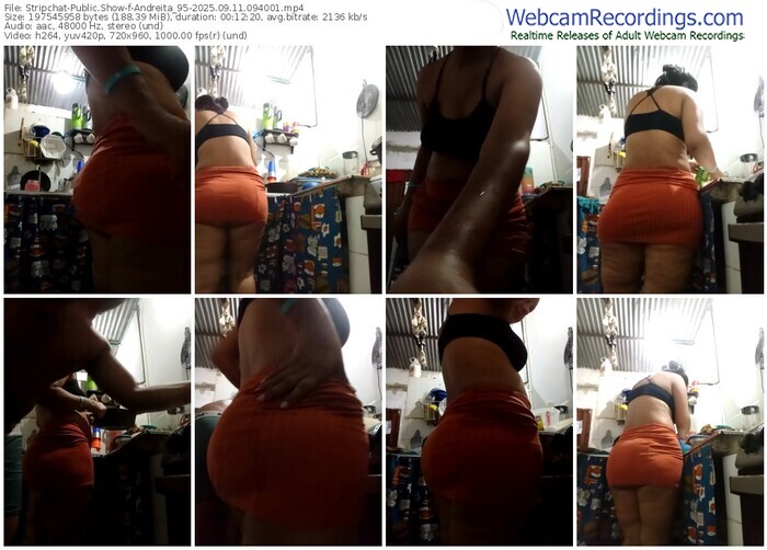 stripchat-andreita_95-09-11-2025-09-40-01