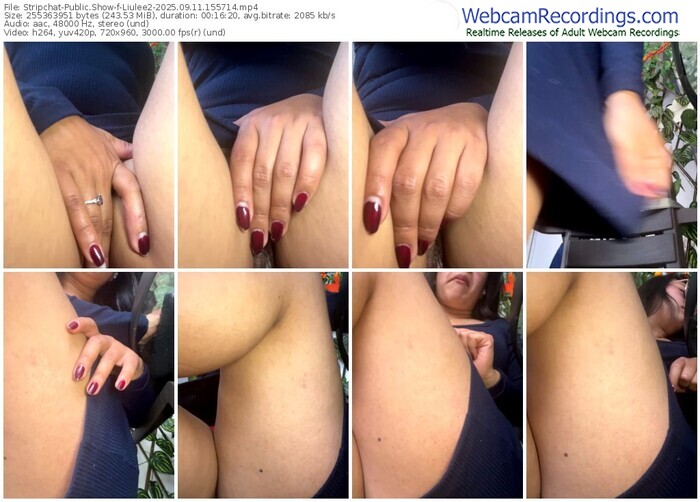 stripchat-liulee2-09-11-2025-15-57-14