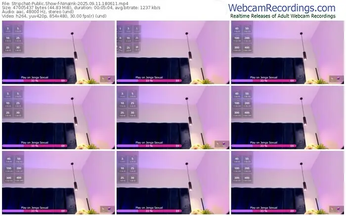 stripchat-ninaink-09-11-2025-18-06-11