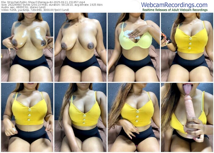 stripchat-shenaya-4u-09-11-2025-15-16-57