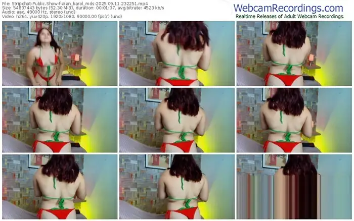 stripchat-alan_karol_mds-09-11-2025-23-22-51