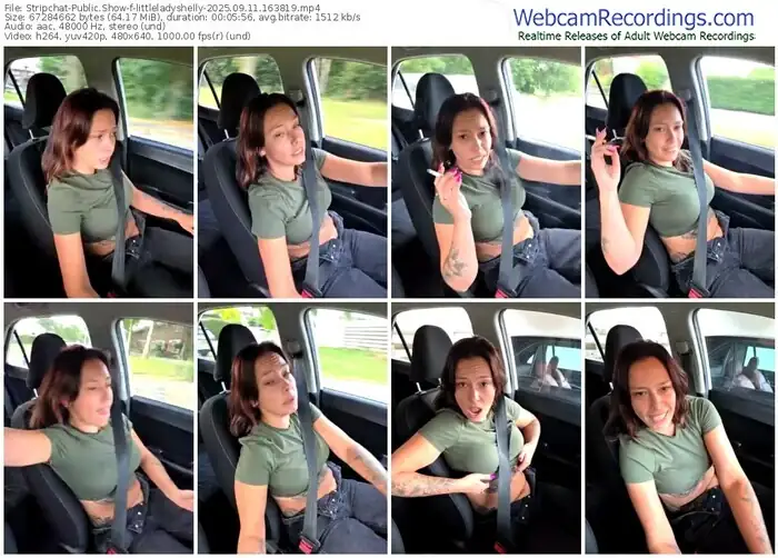 stripchat-littleladyshelly-09-11-2025-16-38-19