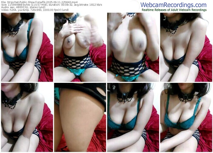 stripchat-snwflk-09-11-2025-22-58-40