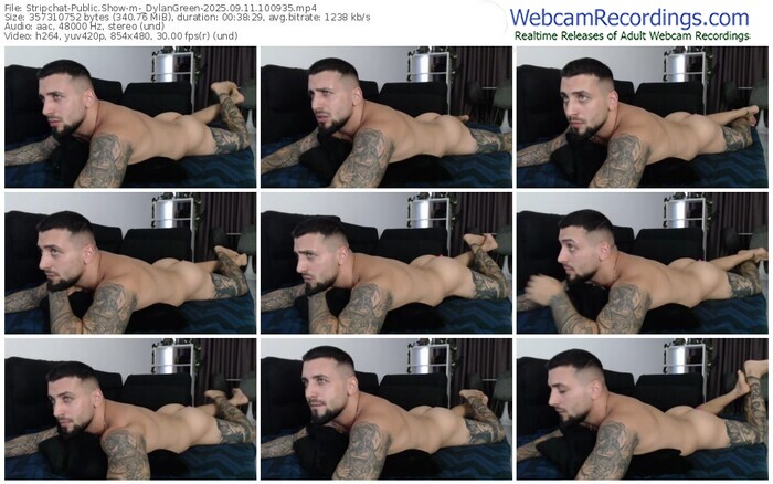 stripchat-_dylangreen-09-11-2025-10-09-35