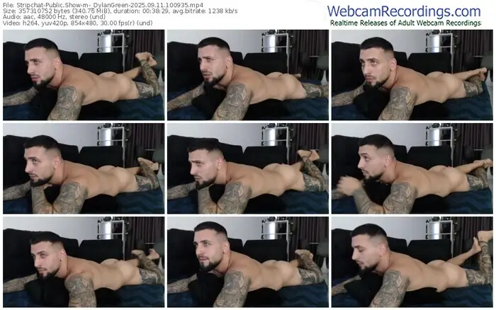 stripchat-_dylangreen-09-11-2025-10-09-35