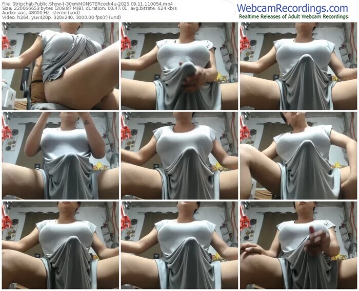 stripchat-30cmmonstercock4u-09-11-2025-11-00-54
