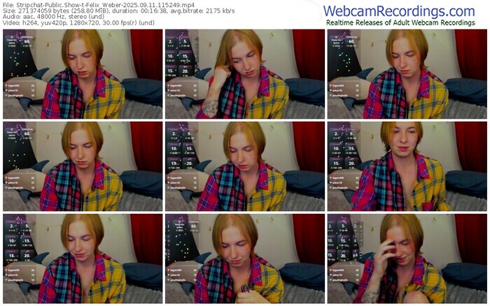 stripchat-felix_weber-09-11-2025-11-52-49