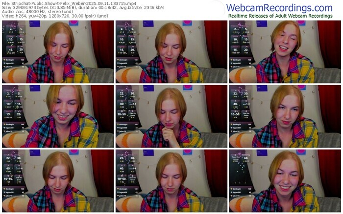 stripchat-felix_weber-09-11-2025-13-37-15