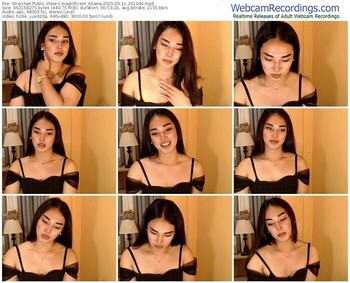stripchat-magnificent_kitana-09-11-2025-20-10-44