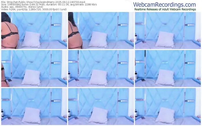 stripchat-daylesandharry-09-12-2025-18-07-00