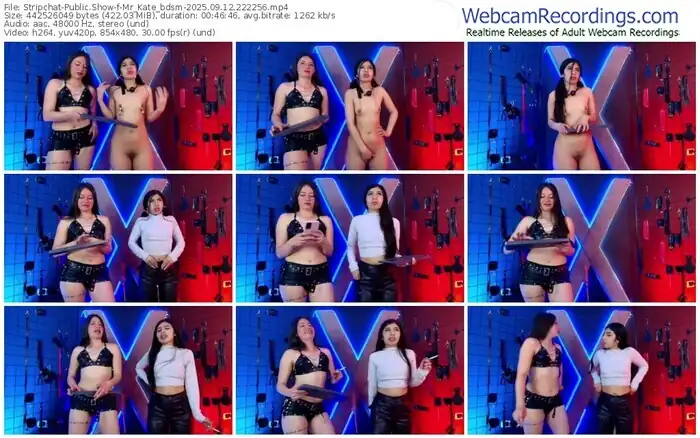 stripchat-mr_kate_bdsm-09-12-2025-22-22-56