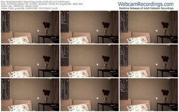 stripchat-neurovibe-09-12-2025-17-18-35