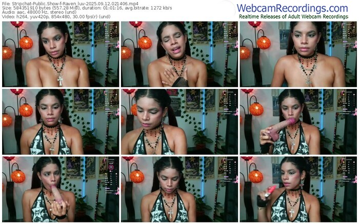 stripchat-raven_luv-09-12-2025-02-14-06