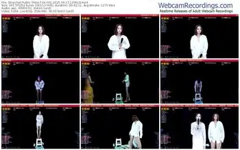 stripchat-sk-001-09-12-2025-13-36-18