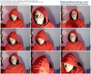 stripchat-__meganlove__-09-12-2025-21-39-25