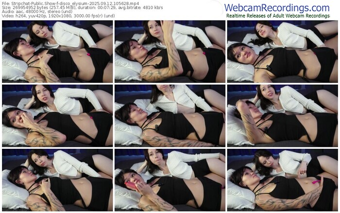 stripchat-disco_elysium-09-12-2025-10-56-28