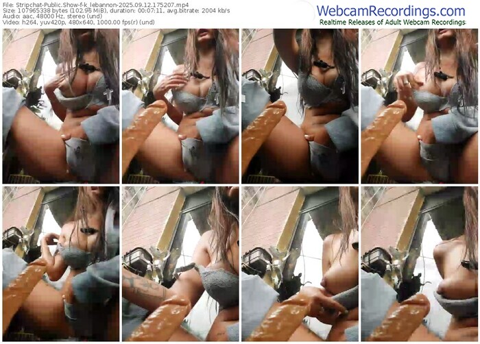stripchat-k_lebannon-09-12-2025-17-52-07