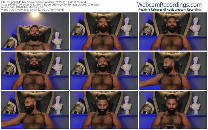 stripchat-beardandrew-09-12-2025-05-38-26