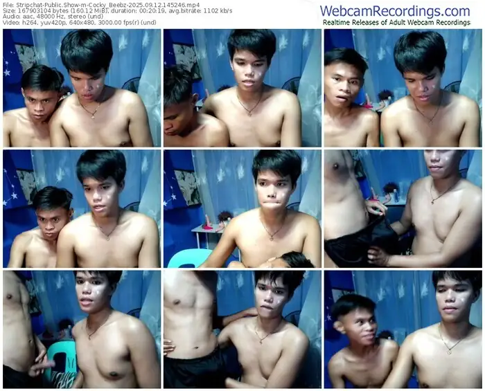 stripchat-cocky_beebz-09-12-2025-14-52-46