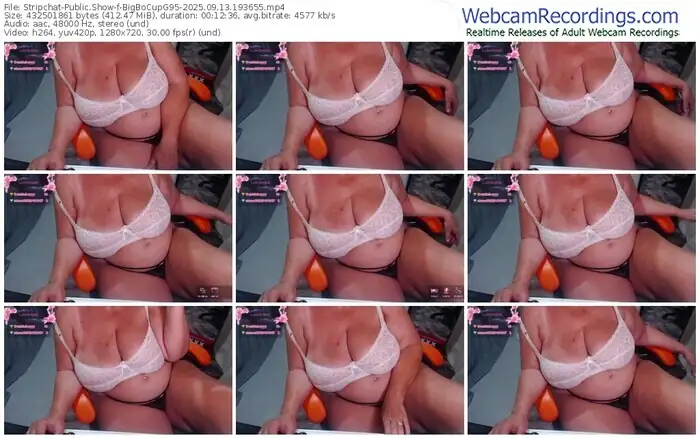 stripchat-bigbocupg95-09-13-2025-19-36-55