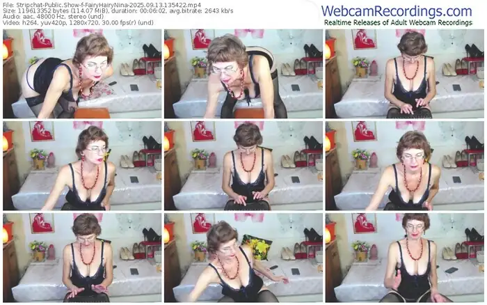 stripchat-fairyhairynina-09-13-2025-13-54-22